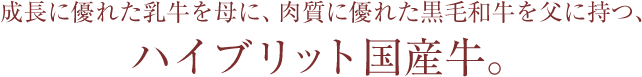 成長に優れた乳牛を母に、肉質に優れた黒毛和牛を父に持つ、ハイブリット国産牛。