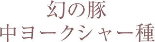 幻の豚 中ヨークシャー種