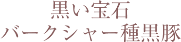 黒い宝石 バークシャー種黒豚